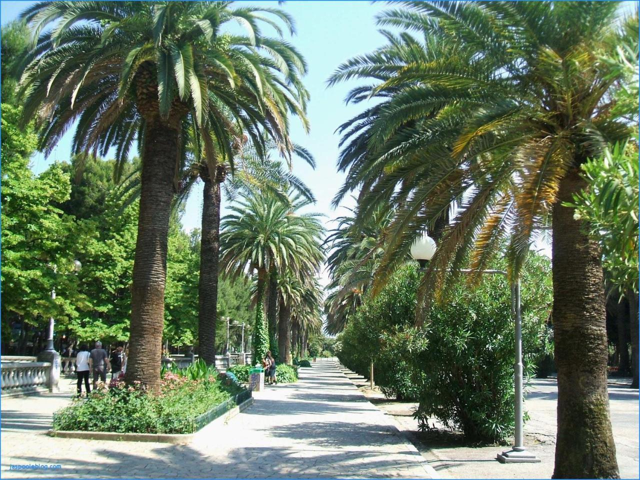 Hotel Royal San Benedetto del Tronto Esterno foto